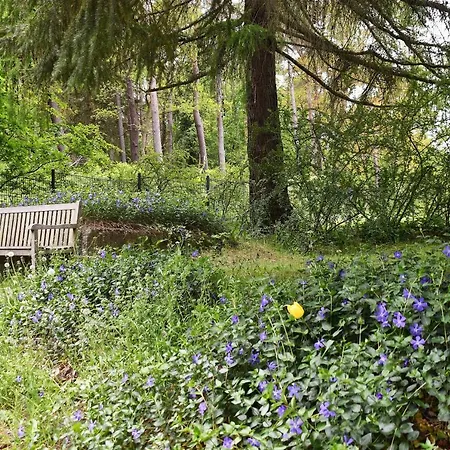 Appartementanlage-ferienwohnungen Weiße Möwe Sassnitz