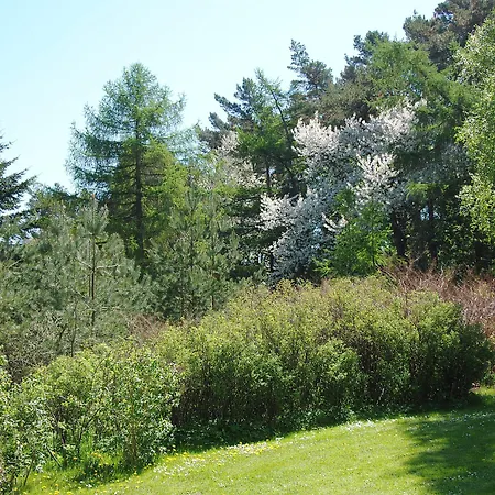 Apartmán Appartementanlage-ferienwohnungen Weisse Moewe *