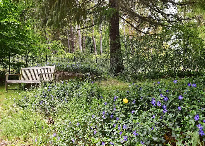 Appartementanlage-ferienwohnungen Weiße Möwe * Sassnitz